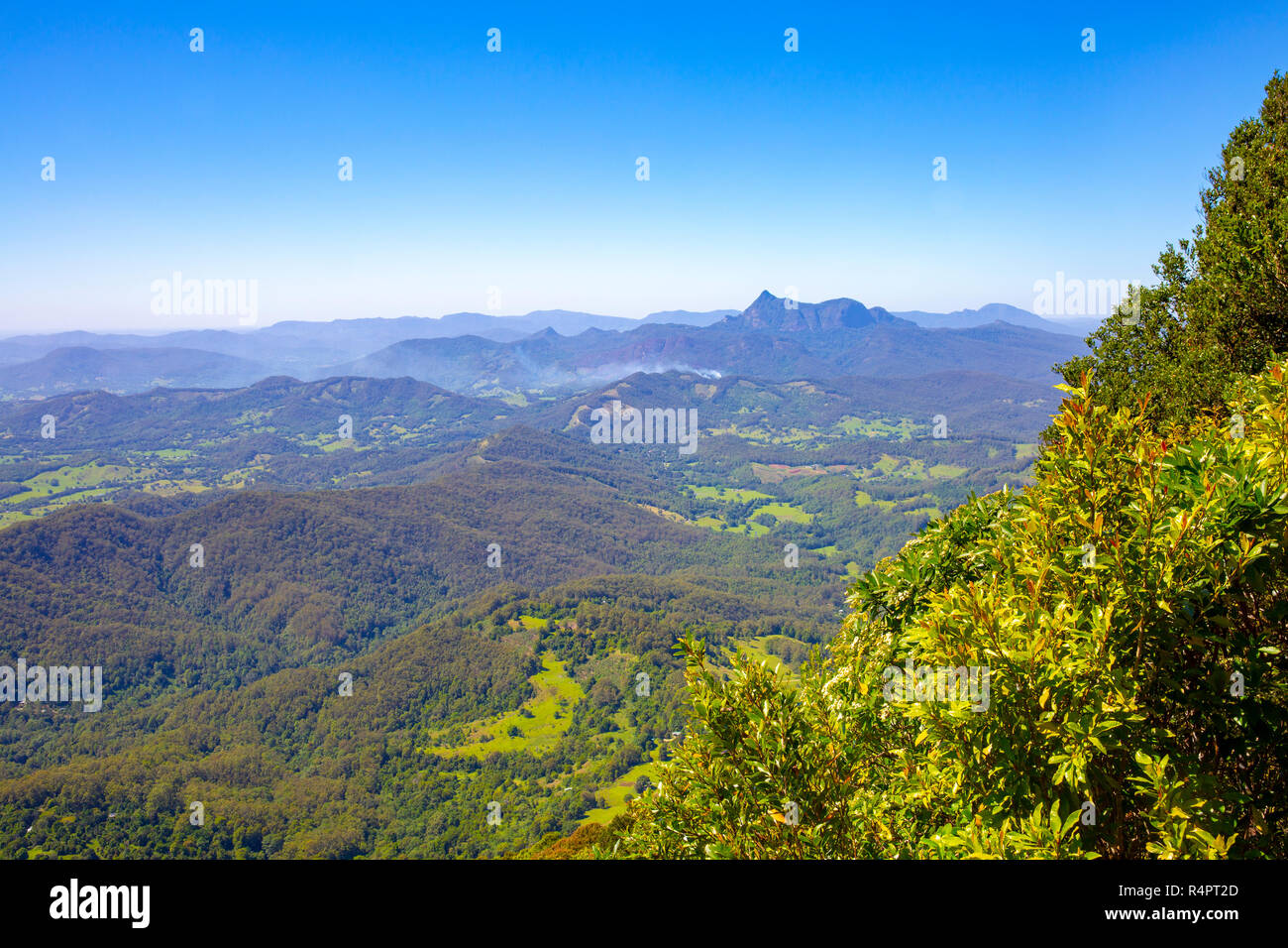 Countryside and nature of Springbrook national park in the Gold coast