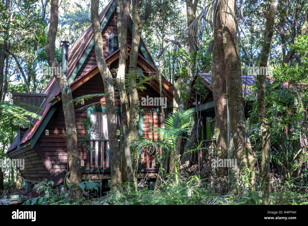 The Mouse House Rainforest Retreat Where Cottages Are Named After