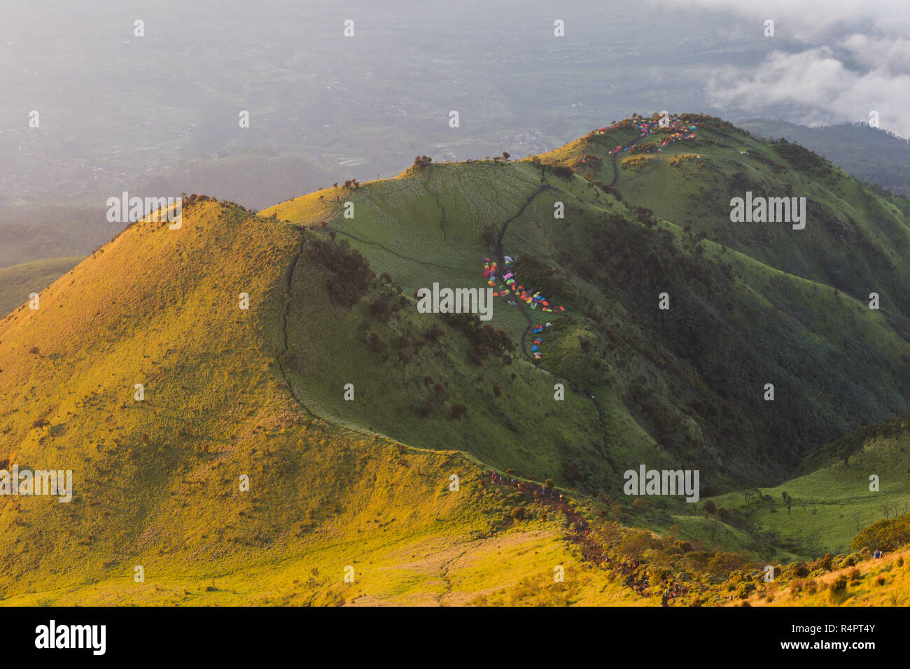 The beauty of the teletubbies hill on Mount Merbabu in the morning Stock Photo