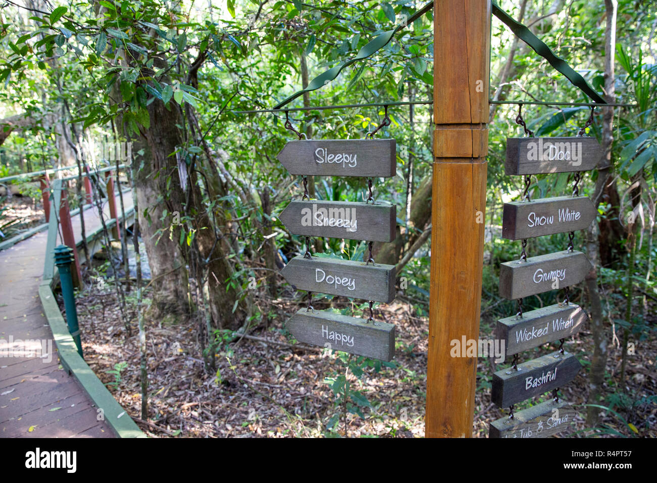 The Mouse House Rainforest Retreat Where Cottages Are Named After