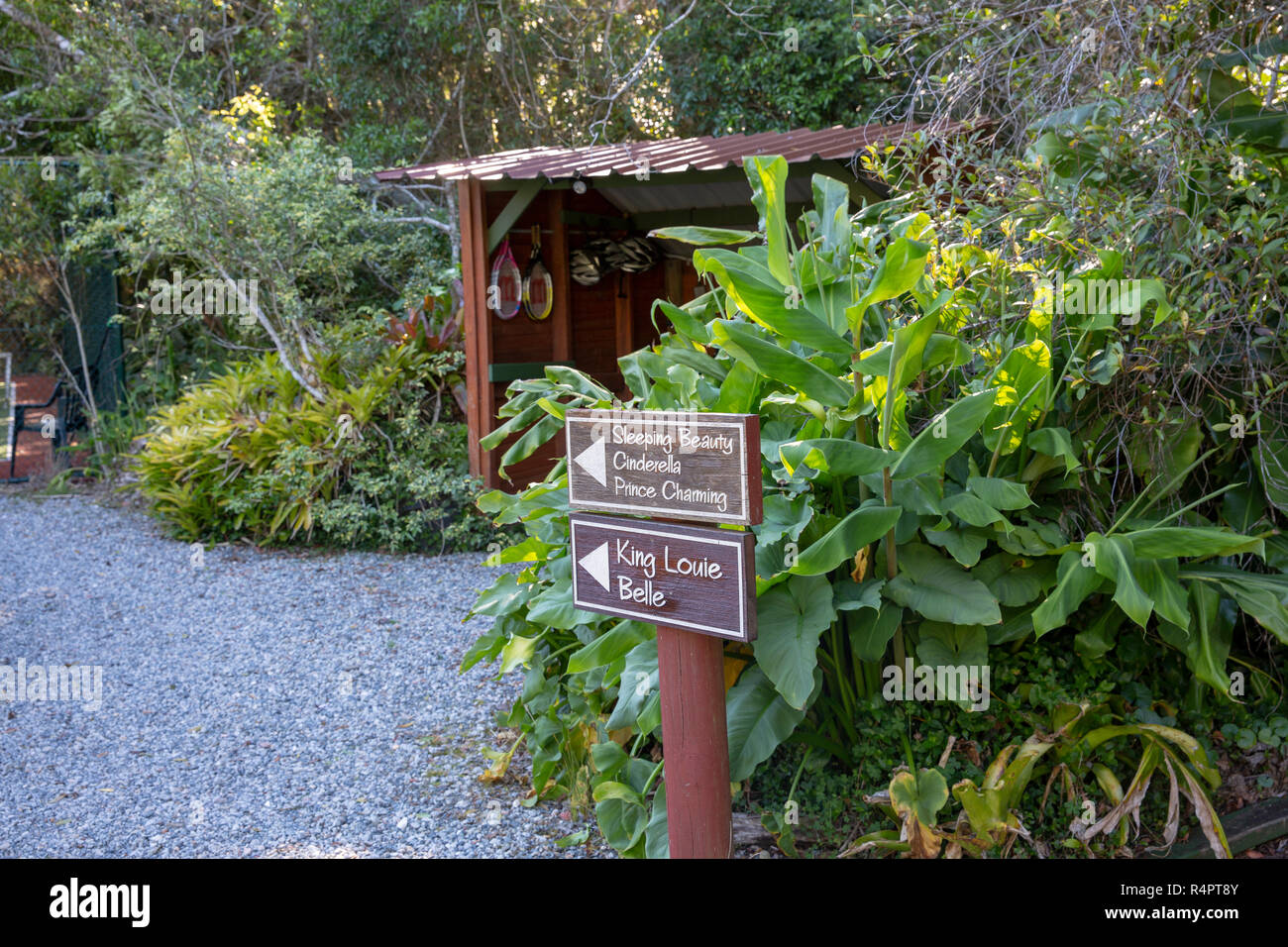 The Mouse House Rainforest Retreat Where Cottages Are Named After
