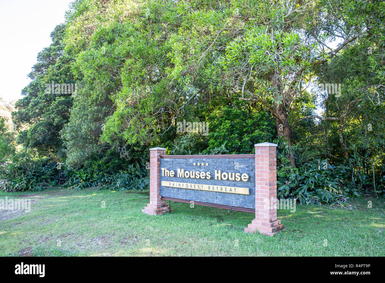 The Mouse House Rainforest Retreat Where Cottages Are Named After