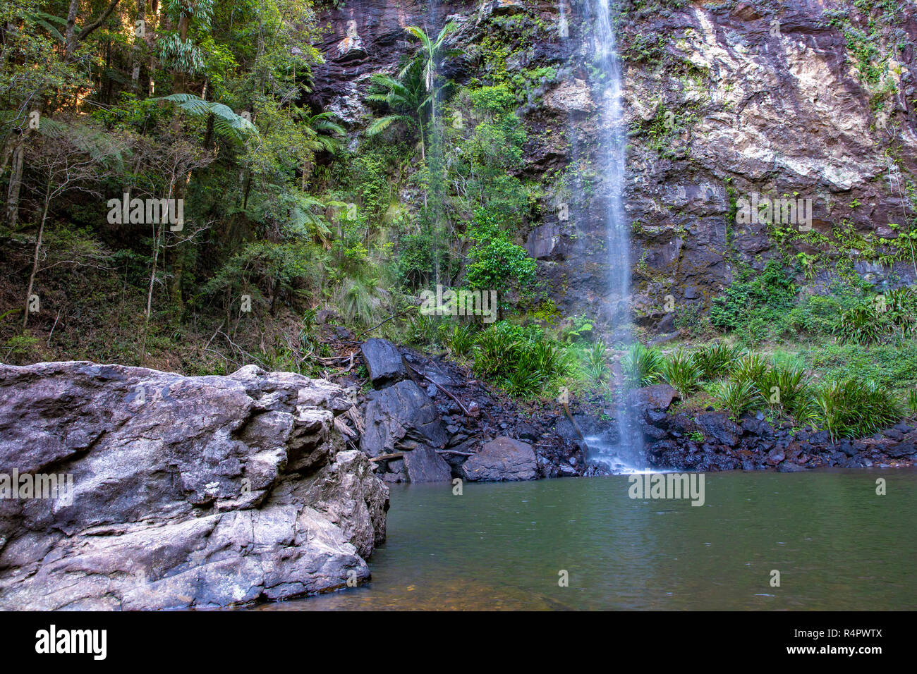 Twin falls circuit and waterfall in Springbrook national park in Gold