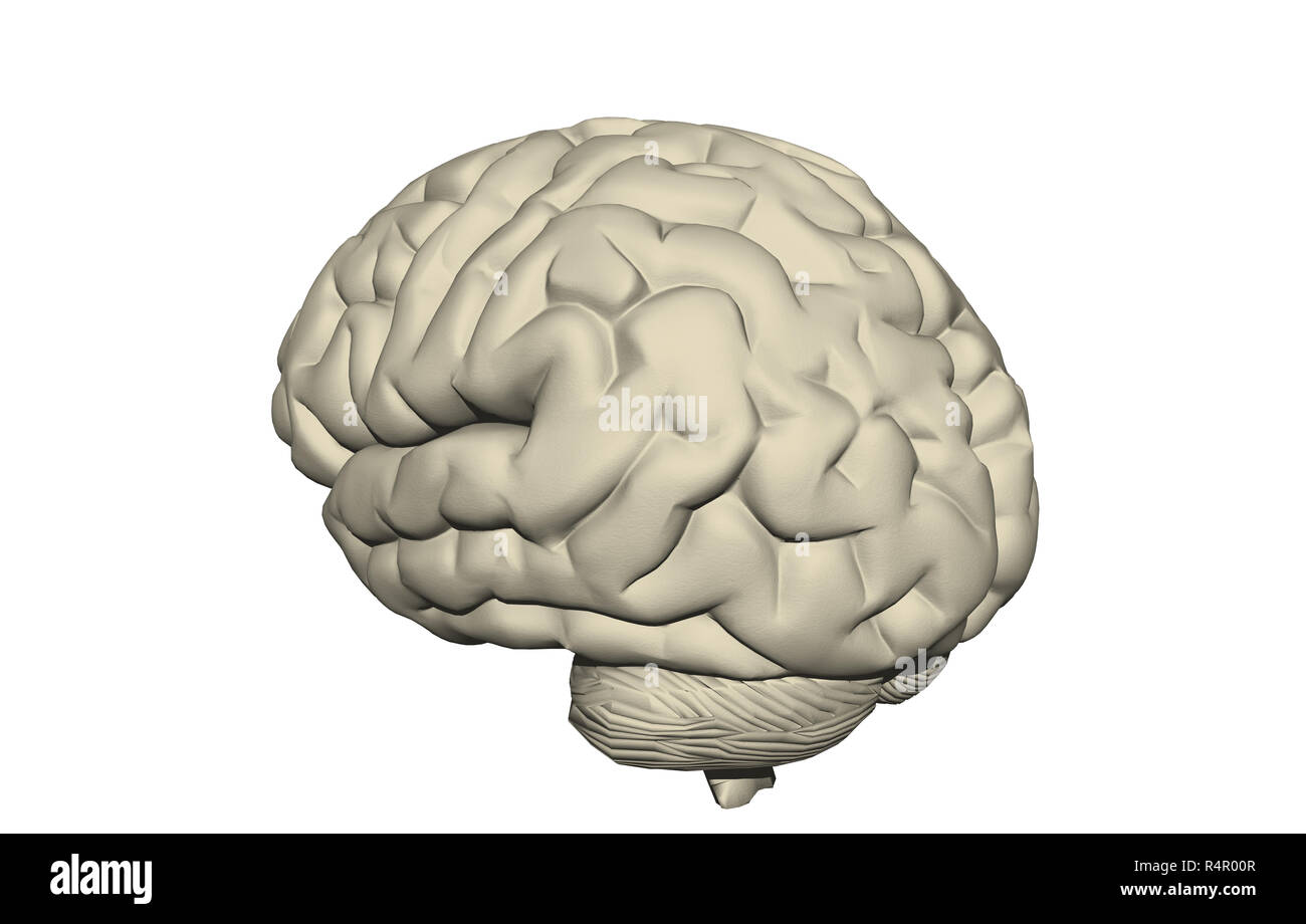 brain apparatus released Stock Photo - Alamy