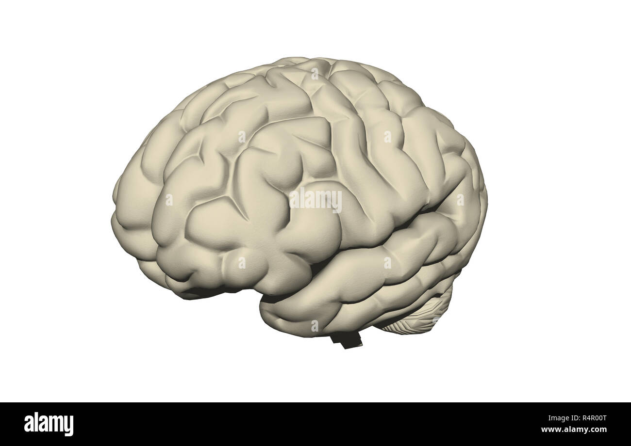 brain apparatus released Stock Photo - Alamy