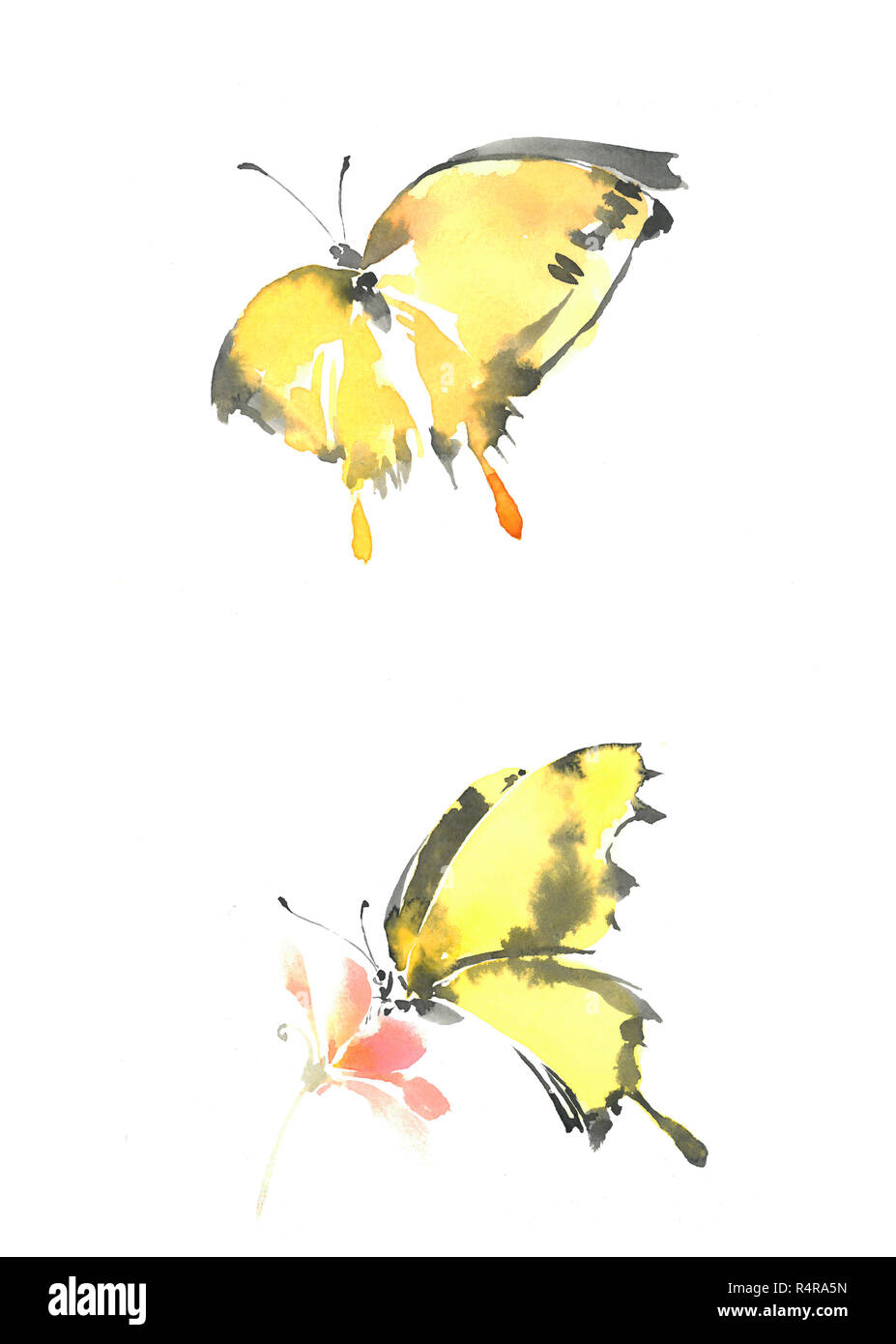 yellow and black butterfly drawing