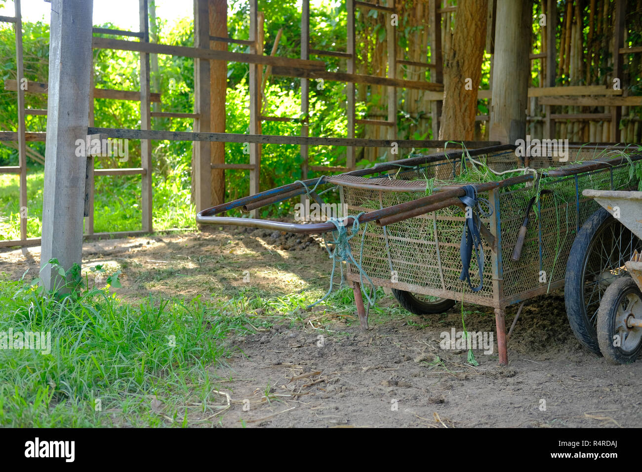 Garden trolley hi-res stock photography and images - Alamy