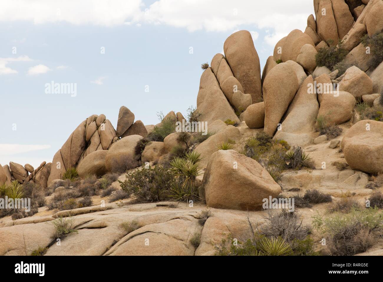 Jumbo Rocks 2 Stock Photo