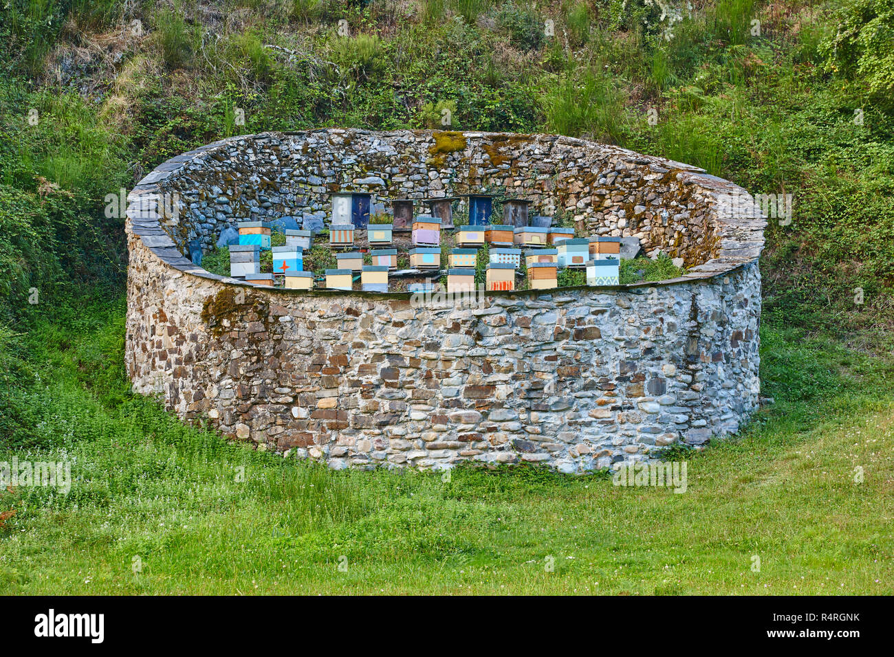 Beehives. Traditional stone wall structure against bears. Muniellos, Asturias in Spain Stock Photo