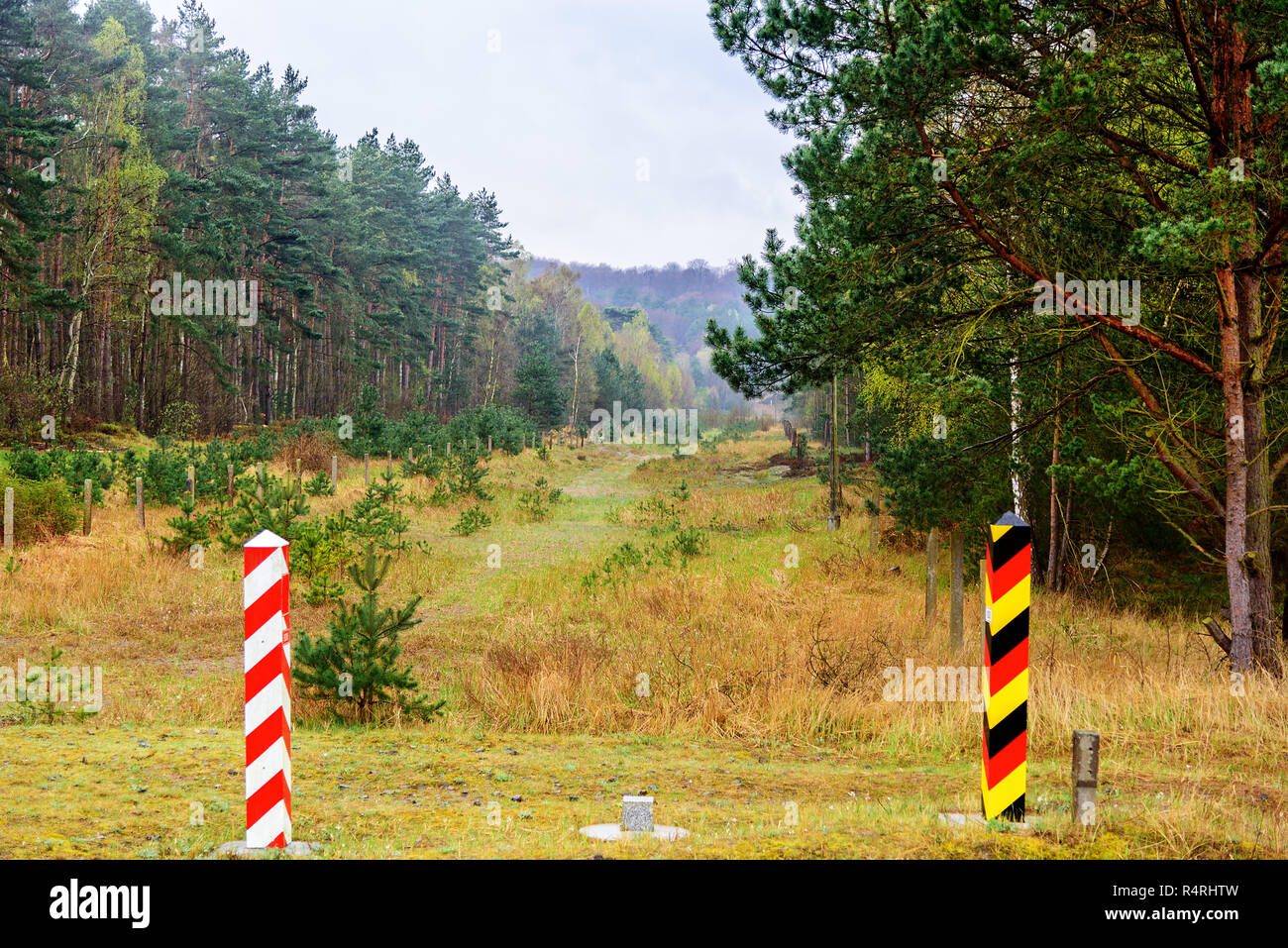 border forest Å›winoujÅ›cie germany poland Stock Photo