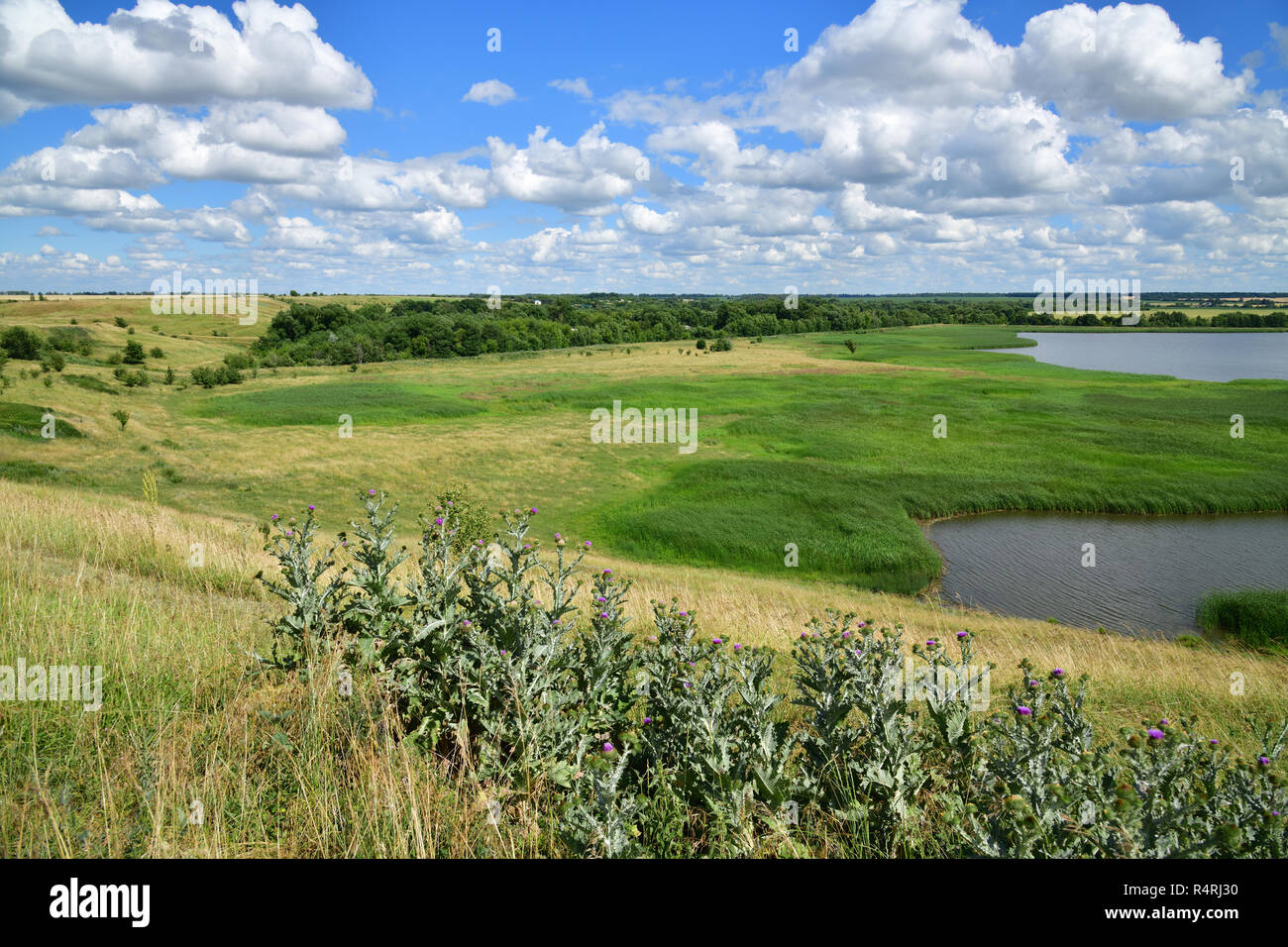 Beautiful rural summer hi-res stock photography and images - Alamy