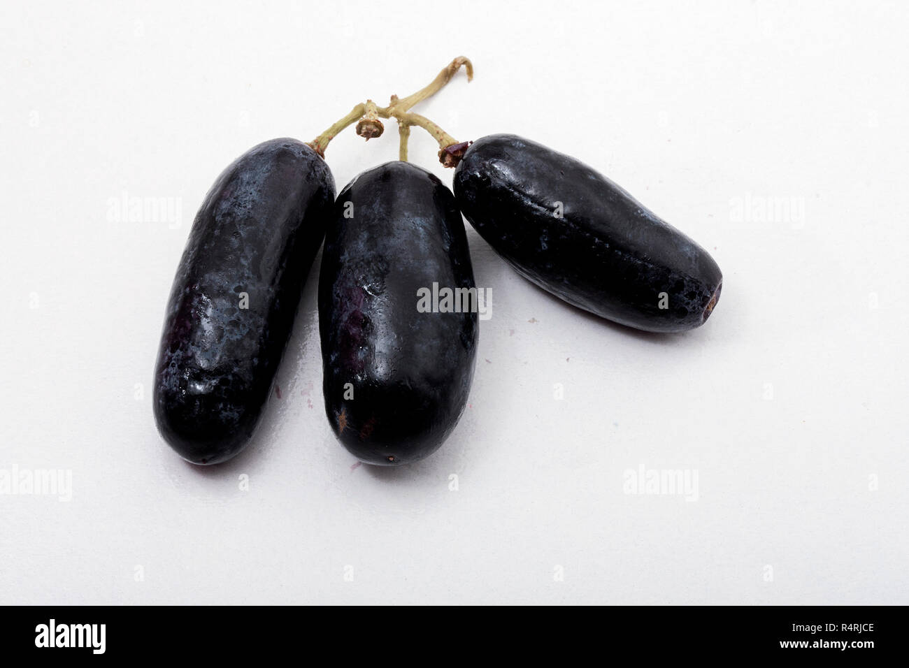 Australian black hi-res stock photography and images - Alamy