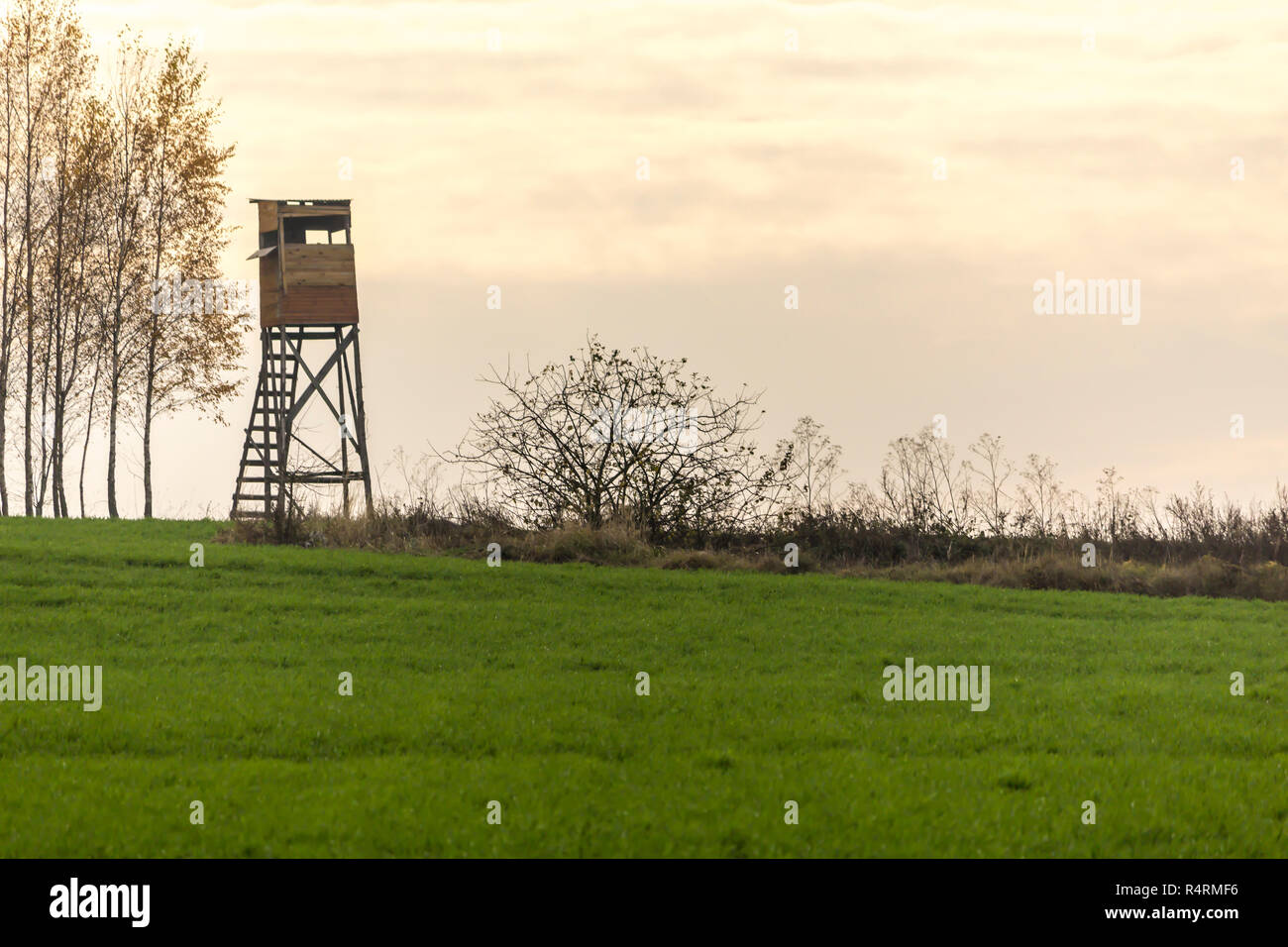 Early morning. Wooden hunting tower on the edge of the field. Hunting for boars, deer and roe deer. Podlaskie, Poland. Stock Photo