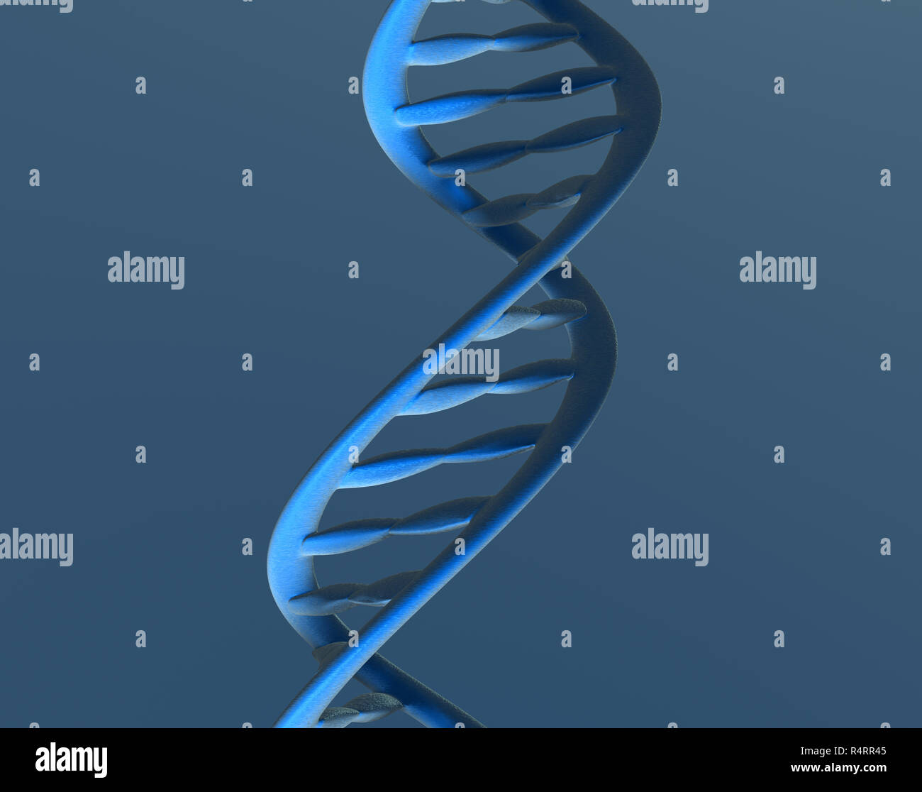 genetic material in the cell Stock Photo