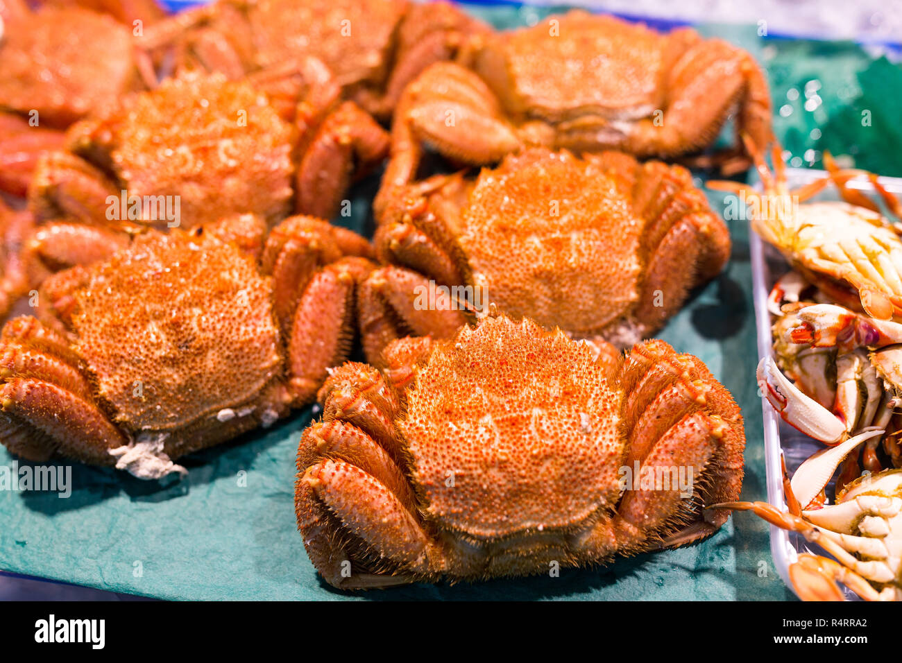 Crab in market Stock Photo