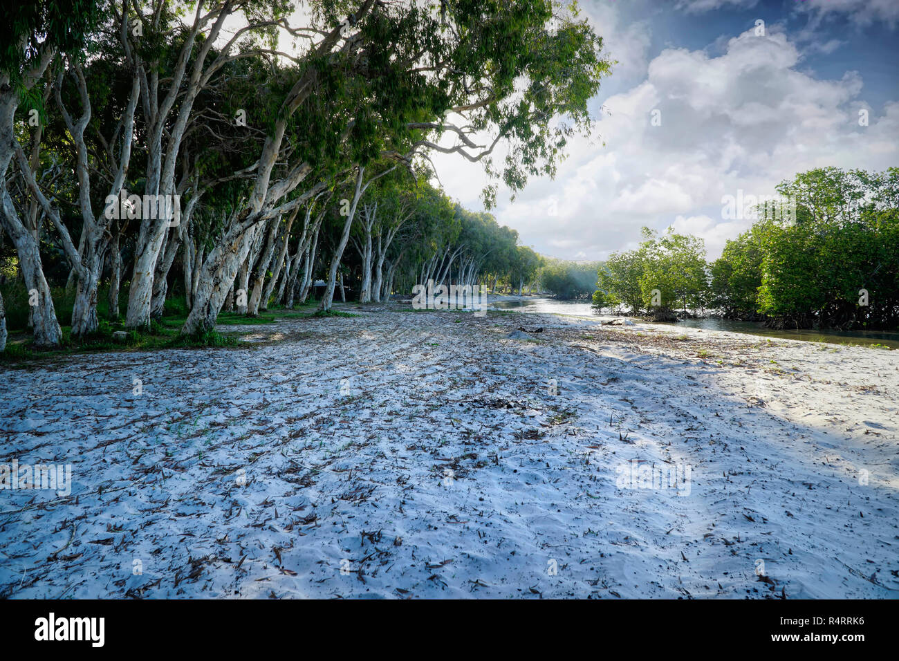 Camp Site On Beach Hi res Stock Photography And Images Alamy Camp site on beach hi res stock photography and images alamy