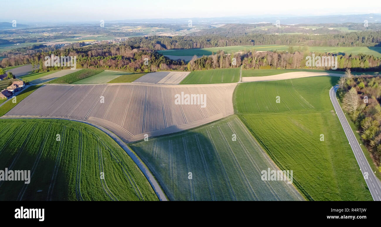 agriculture in zeeland Stock Photo