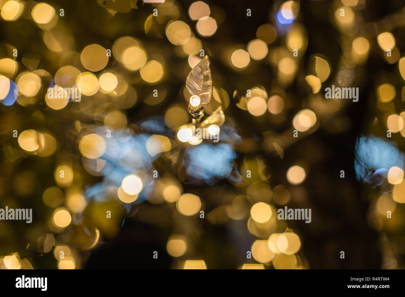 Golden leaf and the bokeh. Stock Photo