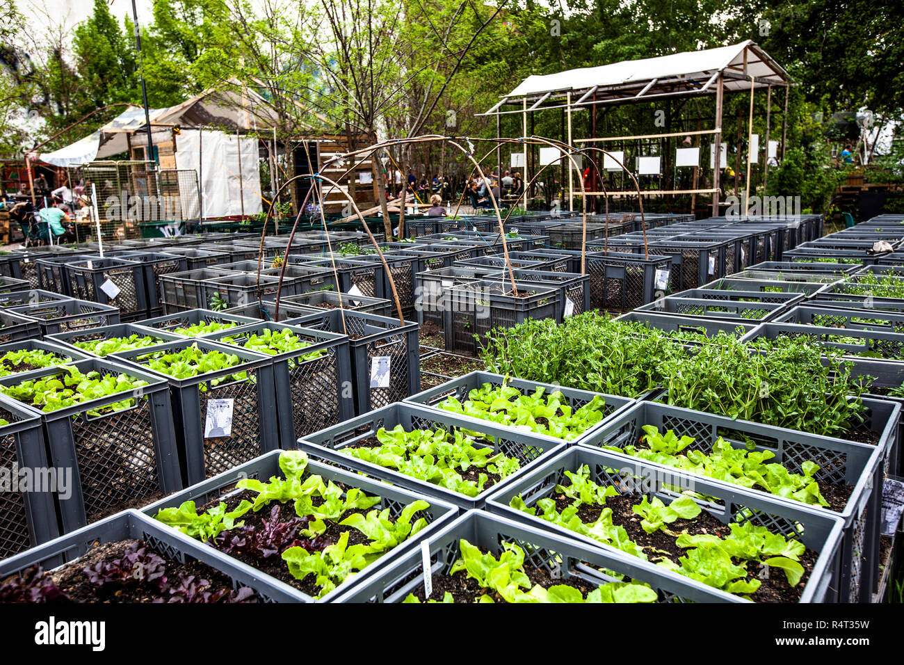 Vertical Gardening Prinzessinnengarten In Berlin Kreuzberg