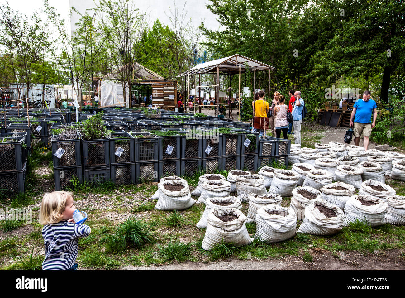 Berlin Germany Urban Gardening In High Resolution Stock Photography And Images Alamy