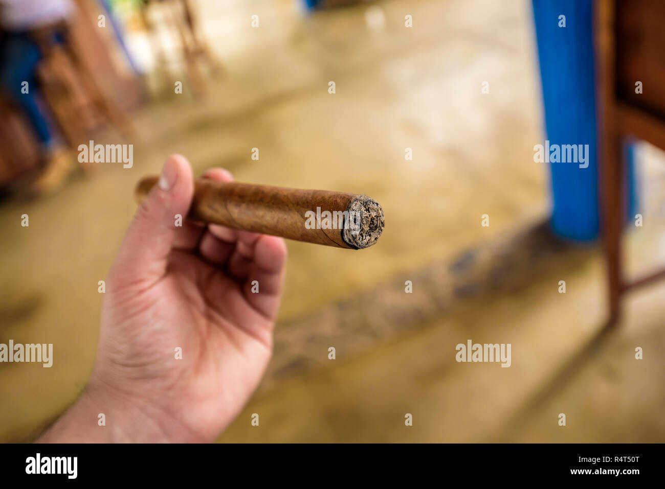 Male hand holding a handmade Cuban Laguito cigar with 56 ring gauge