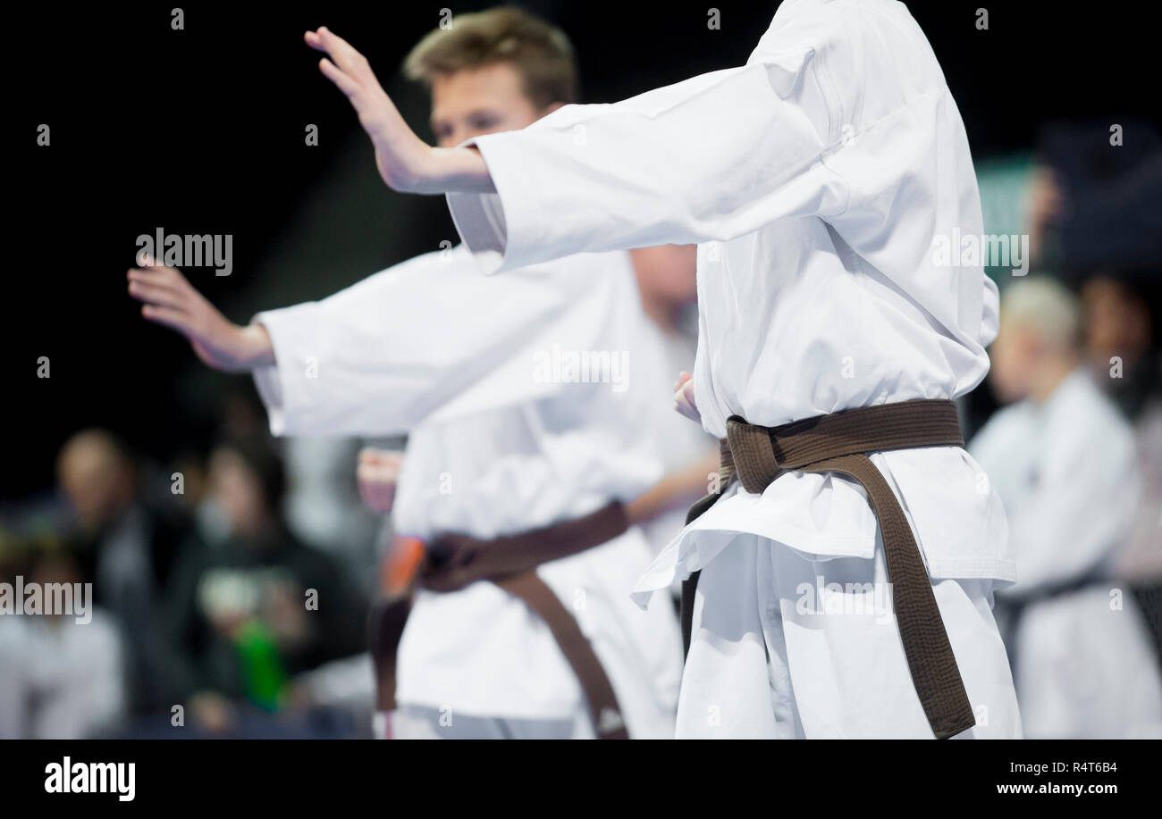 Two boys demonstrate martial arts working together.Concept of sport