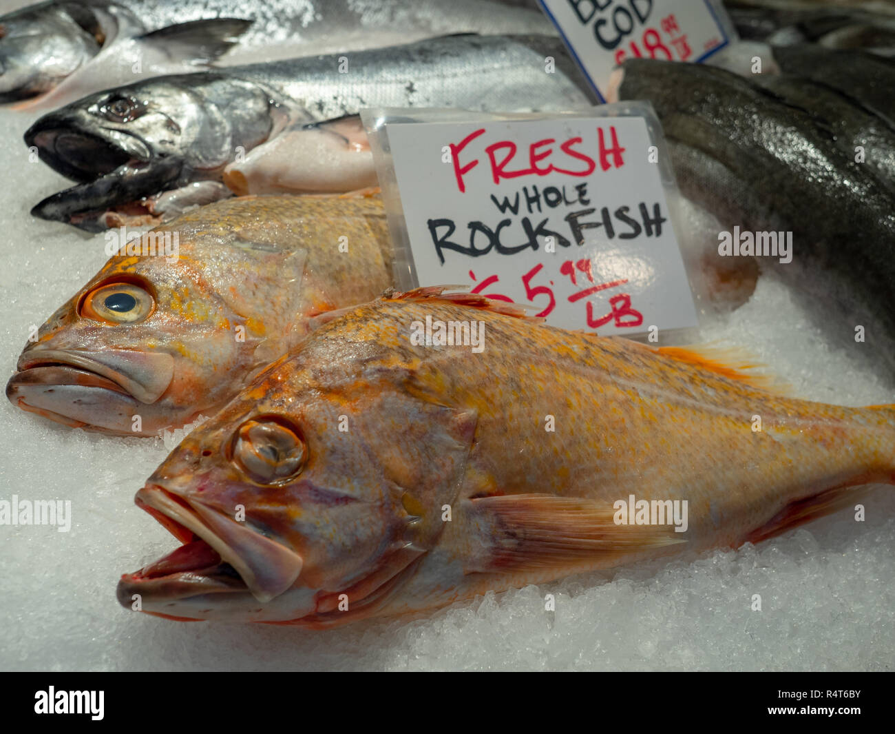 Fresh whole rockfish frozen on ice in a fish market Stock Photo Alamy