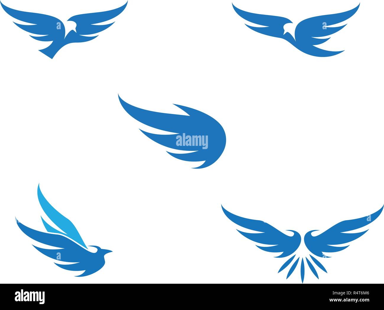 Illustration Falcon Hawk Eagle Bird Stock Photos