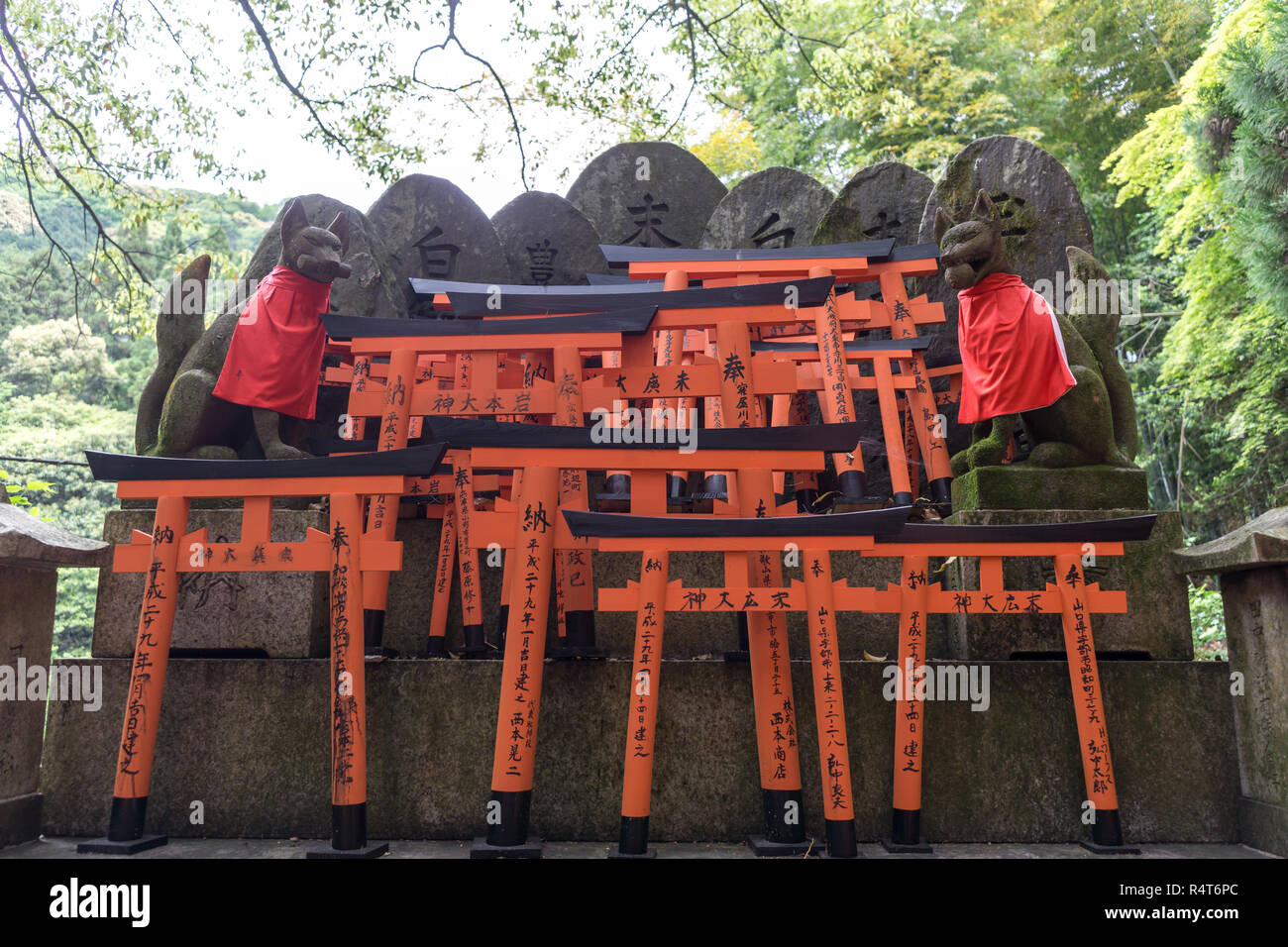 fushimi inari shinto shrine Stock Photo - Alamy
