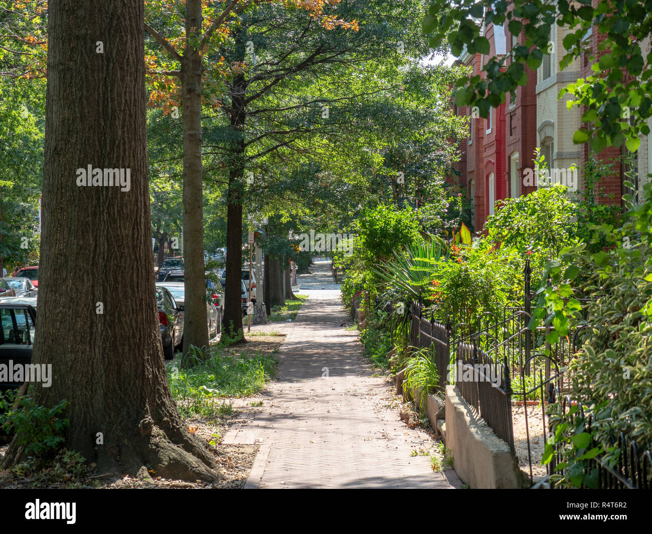 Scenic neighborhood sidewalk with townhouses at H street in Washington, DC Stock Photo