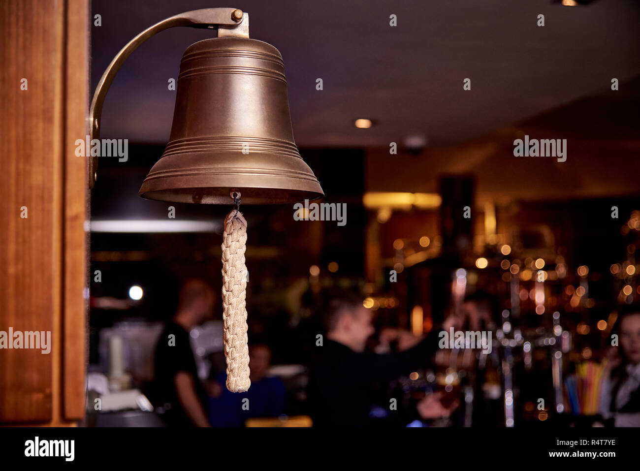 Sea bell close-up on a dark background of the bar. Stock Photo