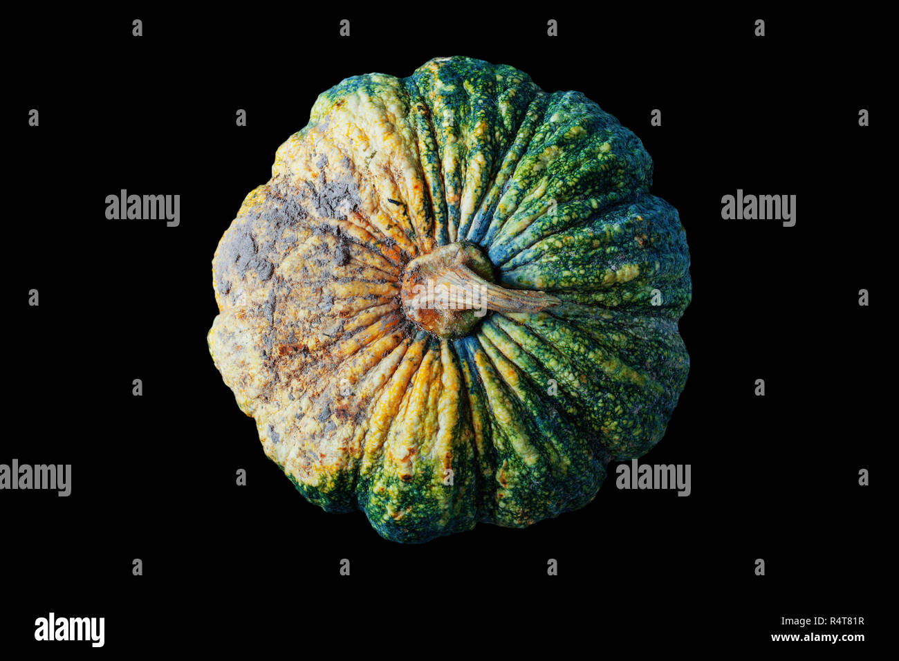 pumpkin on black background Stock Photo - Alamy