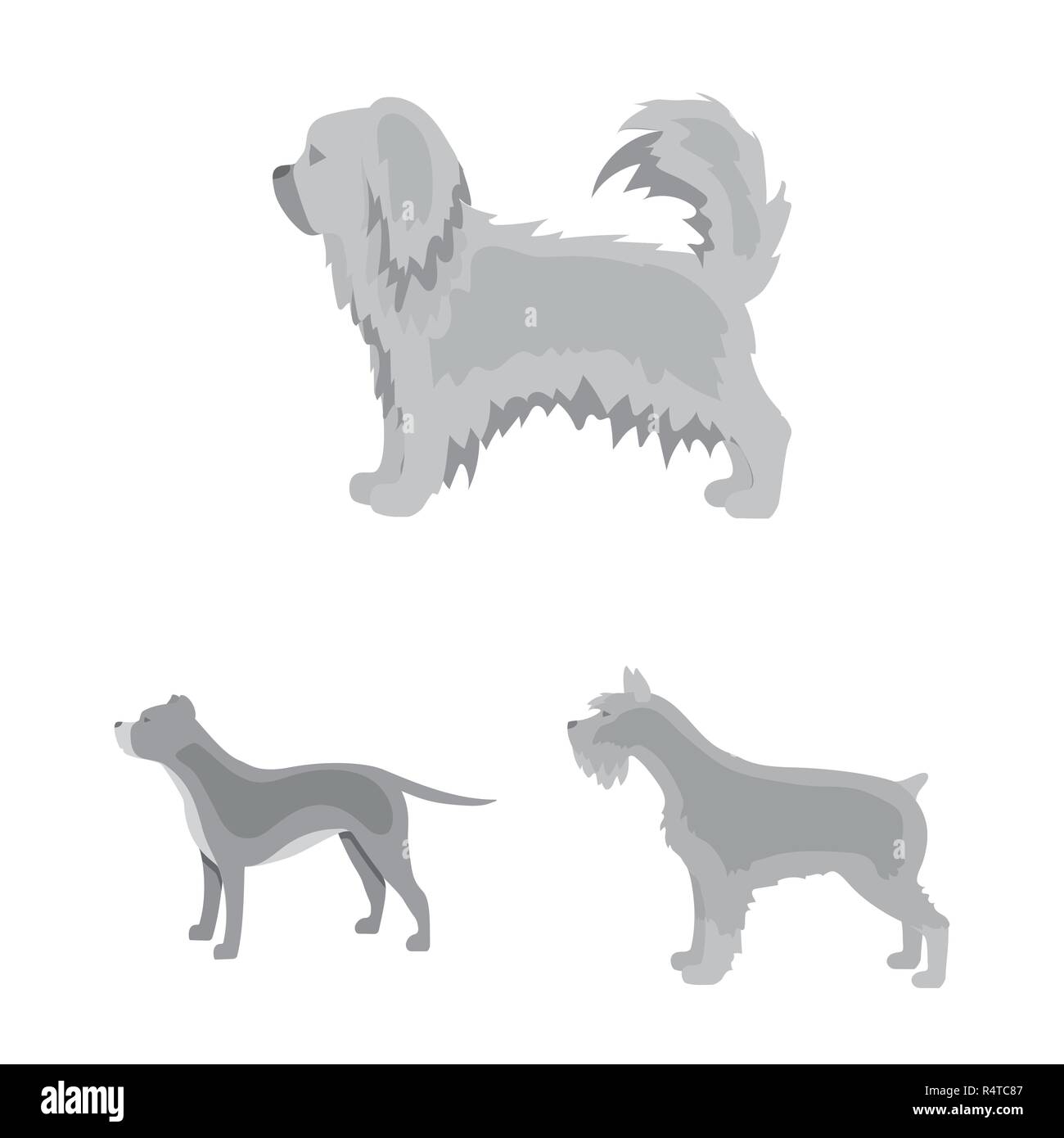 Dog breeds monochrome icons in set collection for design.Dog pet vector ...