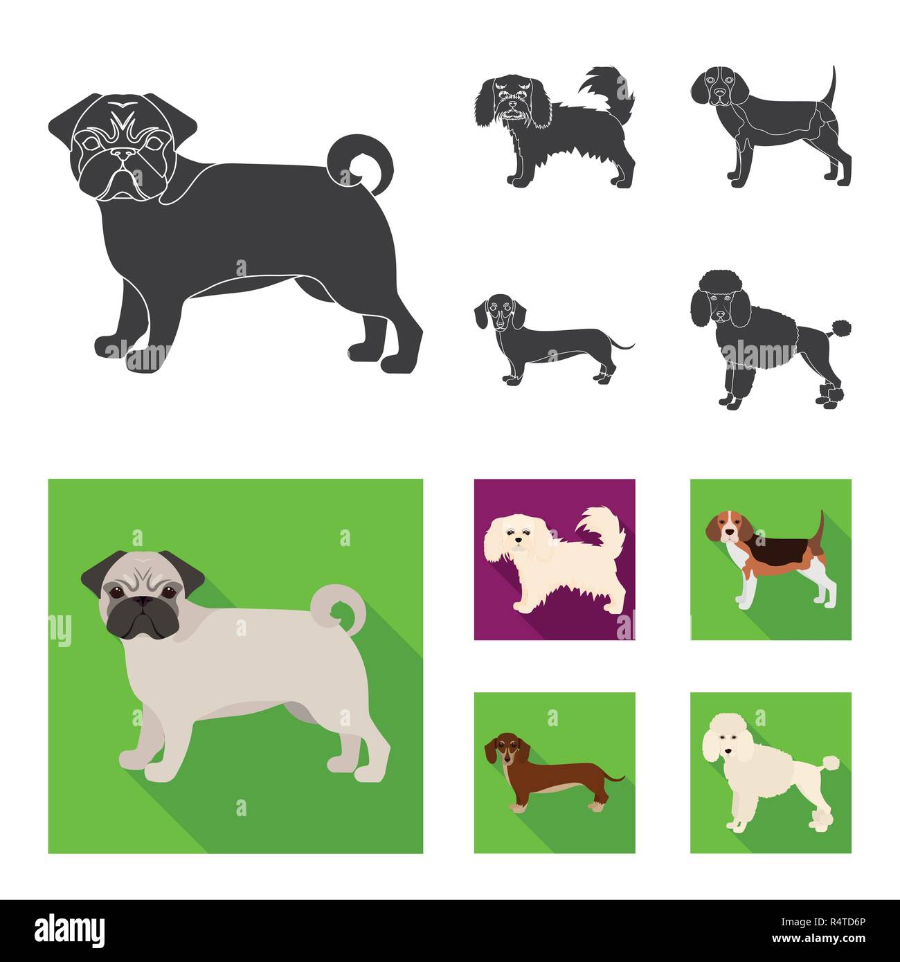 Dog breeds black, flat icons in set collection for design.Dog pet ...