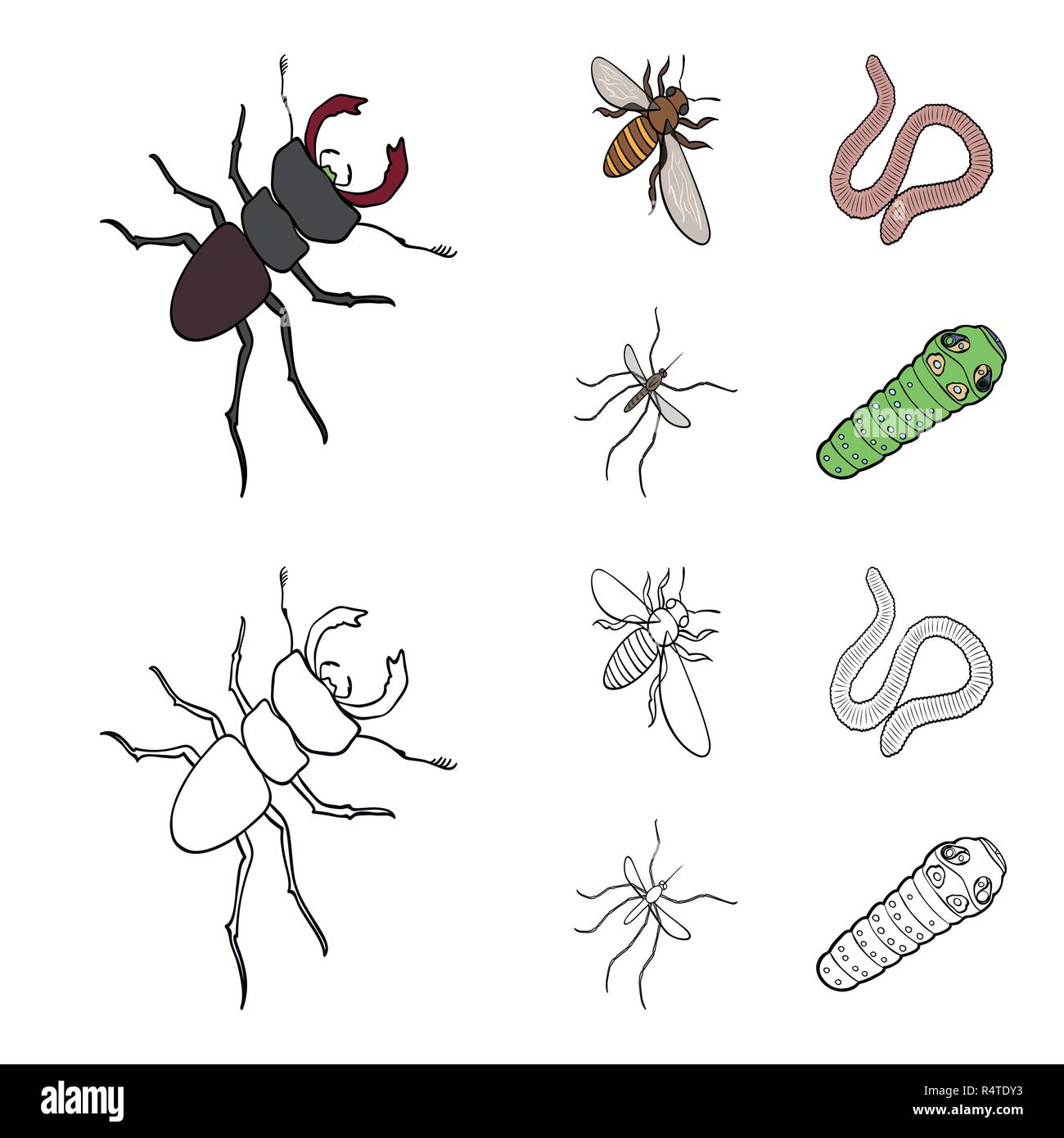 Arthropods insect mosquito, bee.Earth worm, caterpillar,vermicular set collection icons in cartoon,outline style vector symbol stock isometric illustr Stock Vector