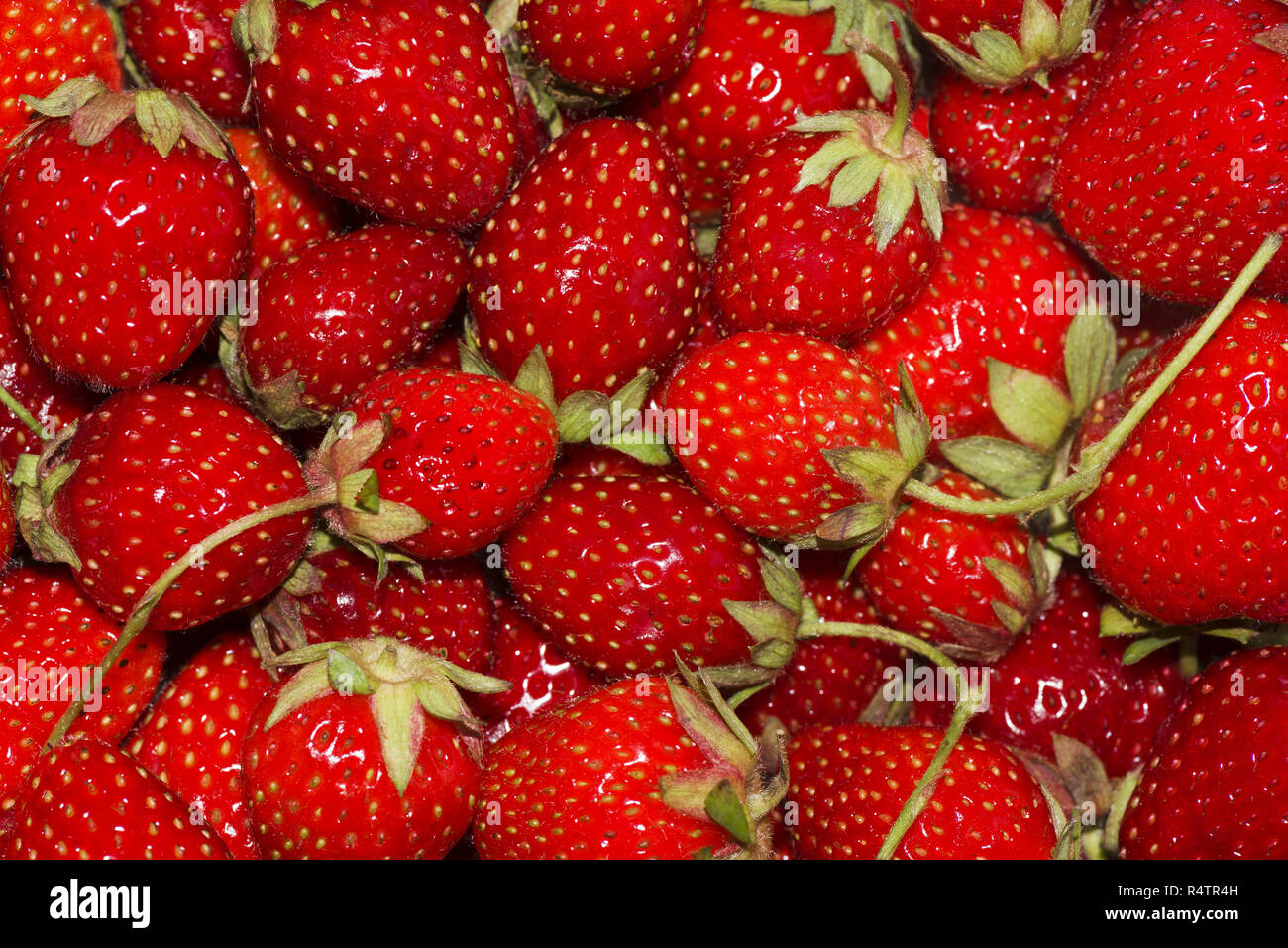 Fresh tasty strawberries hi-res stock photography and images - Alamy