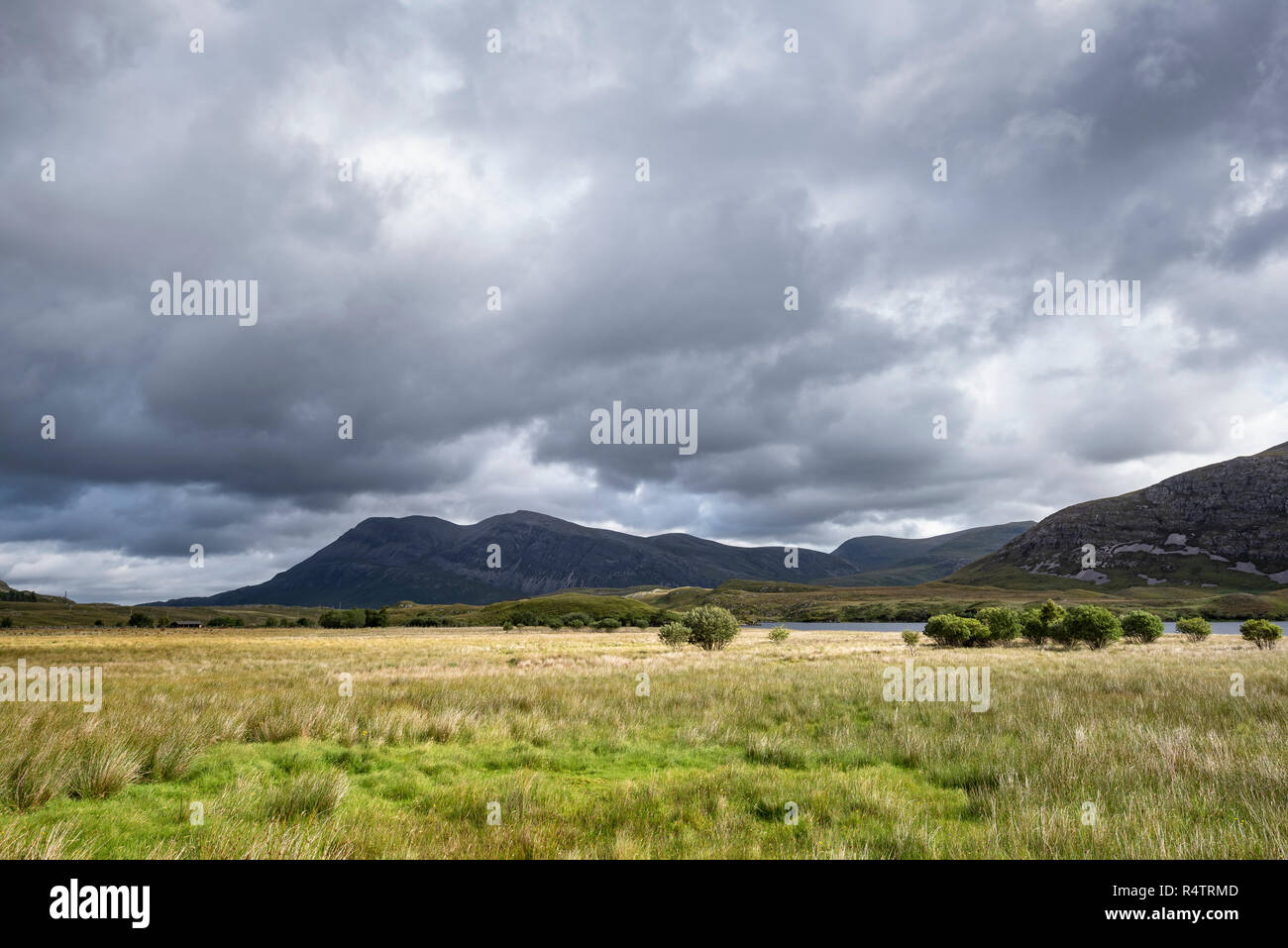 View over moorland to Mount Arkle, Northwest Highlands, Sutherland, Scotland, Great Britain Stock Photo