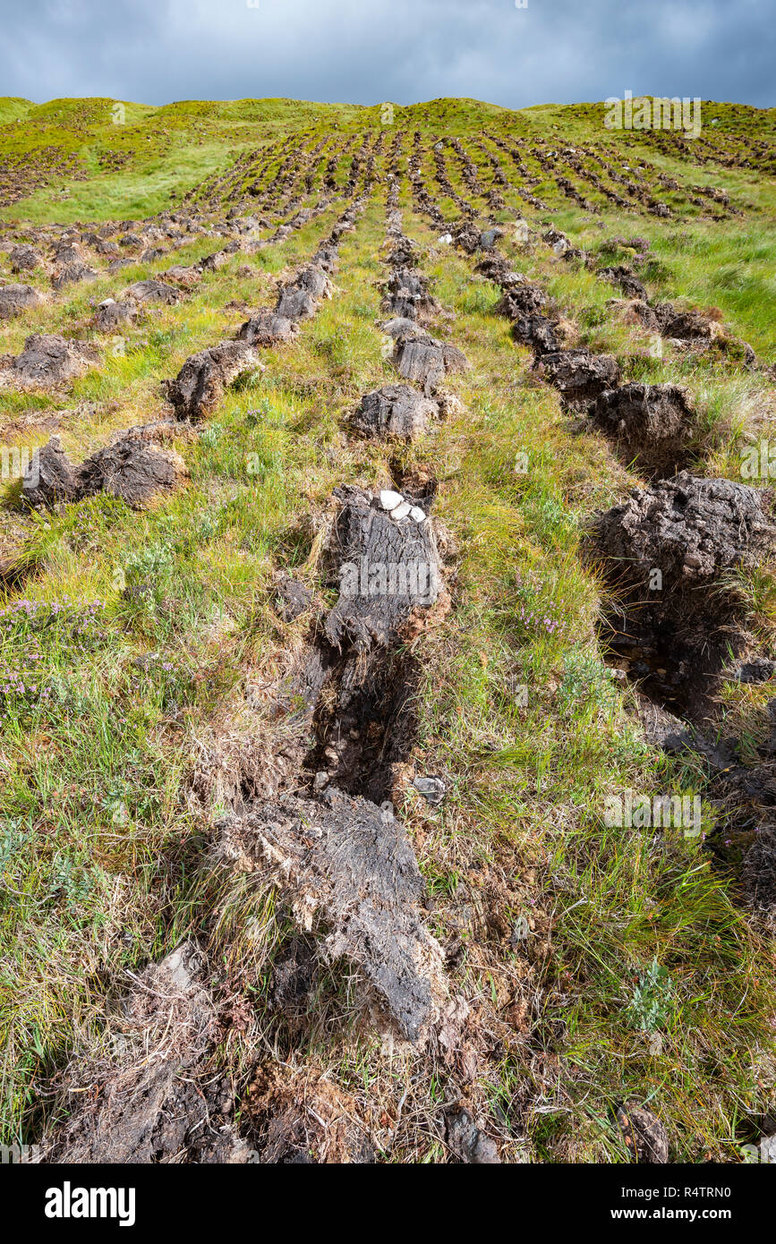 Machine cut peat on a slope, Lairg, Caithness, Sutherland and Easter Ross, Scotland, Great Britain Stock Photo