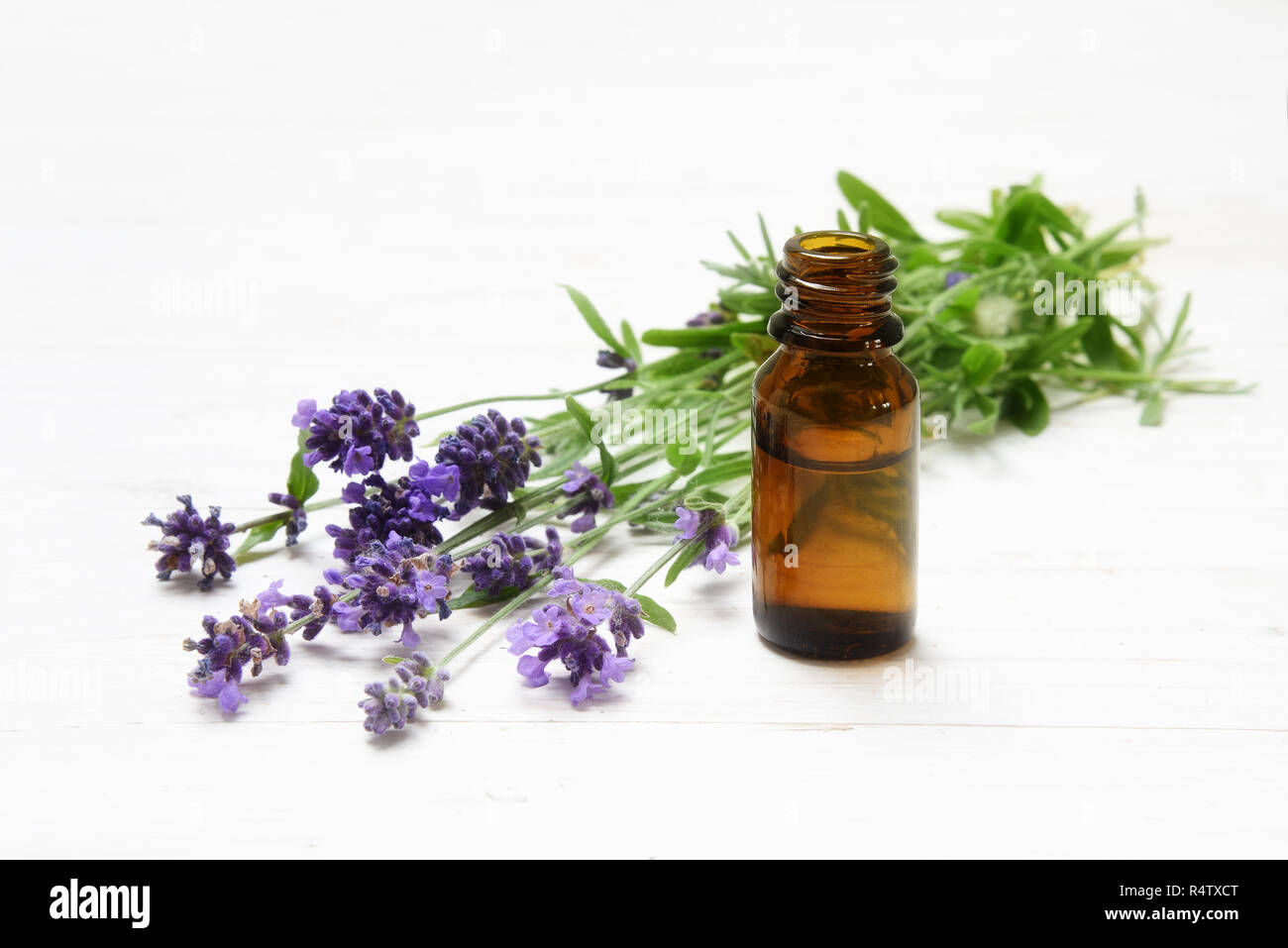 fresh lavender flowers and essential herbal oil in a brown glass bottle on white painted wood, copy space, close up with selected soft focus, narrow d Stock Photo