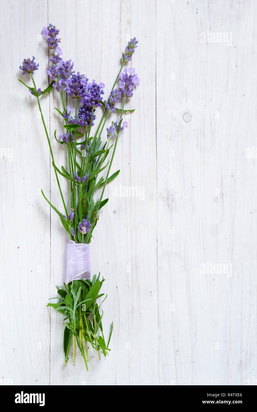 bunch of blooming lavender branches on a white painted wooden background with copy space, vertical Stock Photo