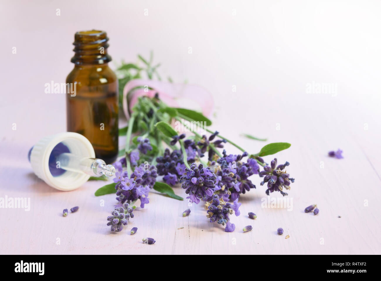fresh lavender flowers and essential herbal oil in a glass bottle on light rose wood, copy space, close up with selected focus, narrow depth of field Stock Photo