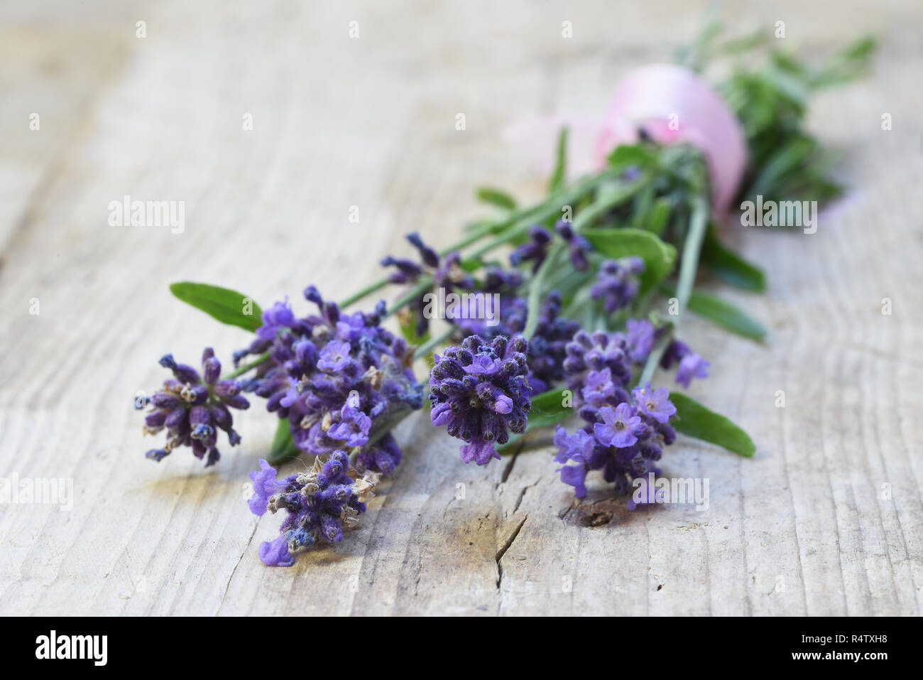 bunch of blooming lavender on a rustic wooden background with copy space, selected focus, narrow depth of field Stock Photo