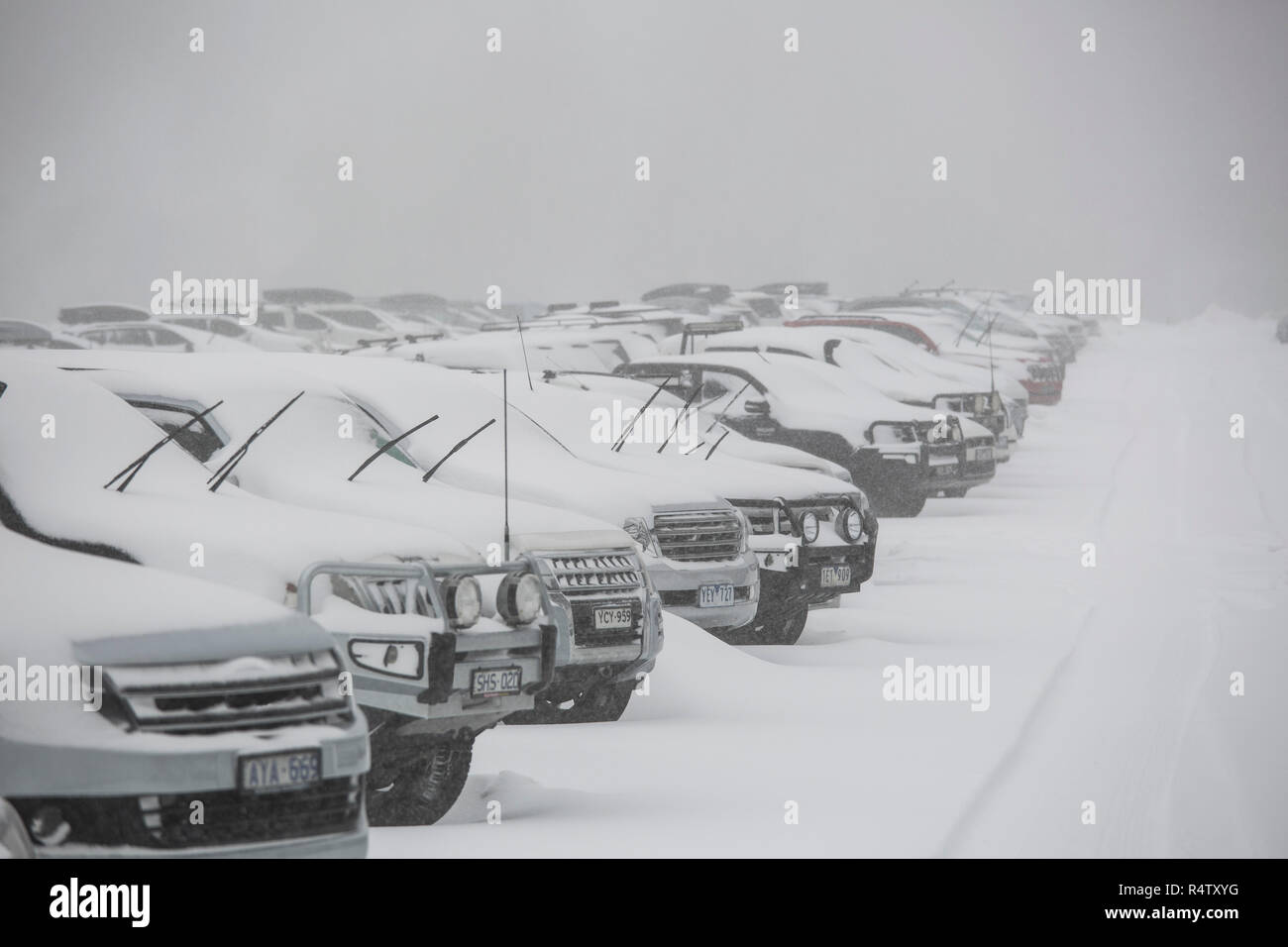 Snow covering parked cars in full parking lot Stock Photo