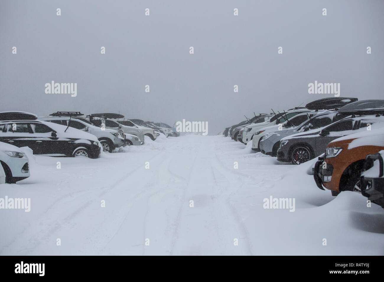 Snow covering parked cars in full parking lot Stock Photo - Alamy
