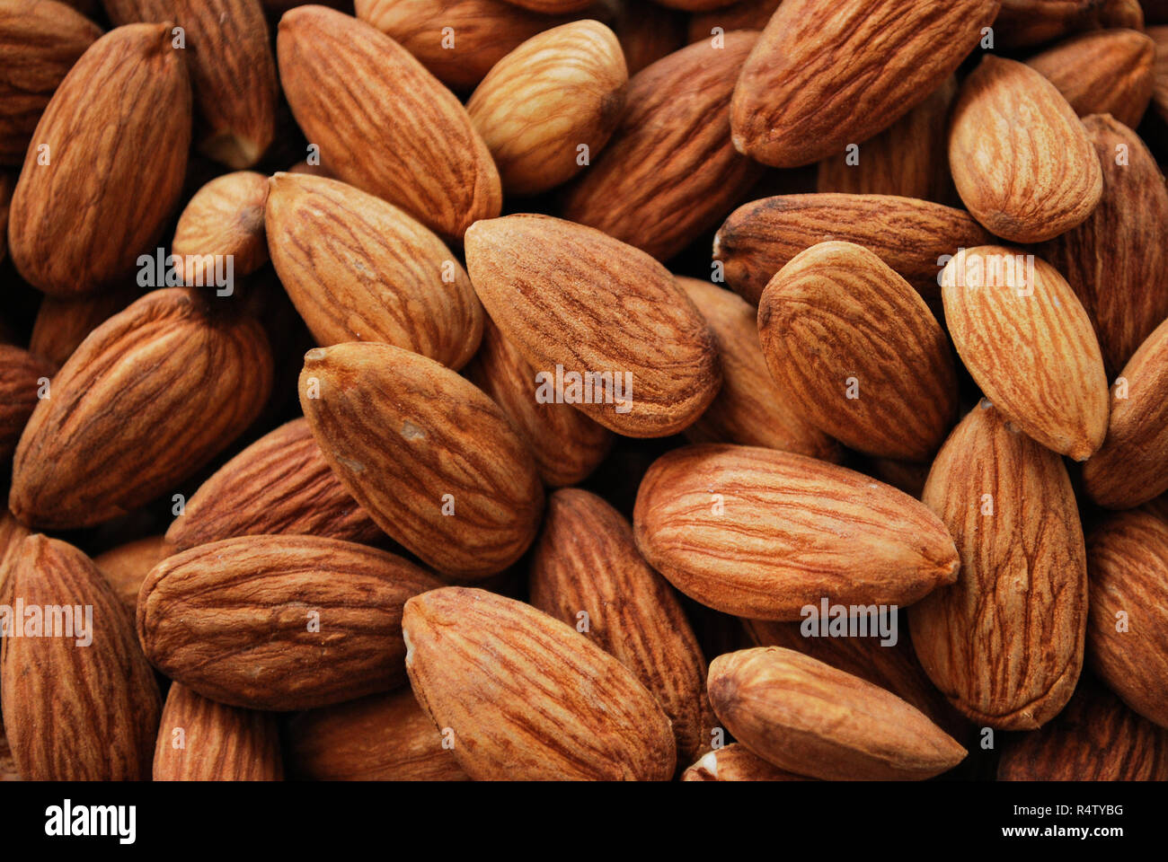 The dried almond fruits Stock Photo Alamy