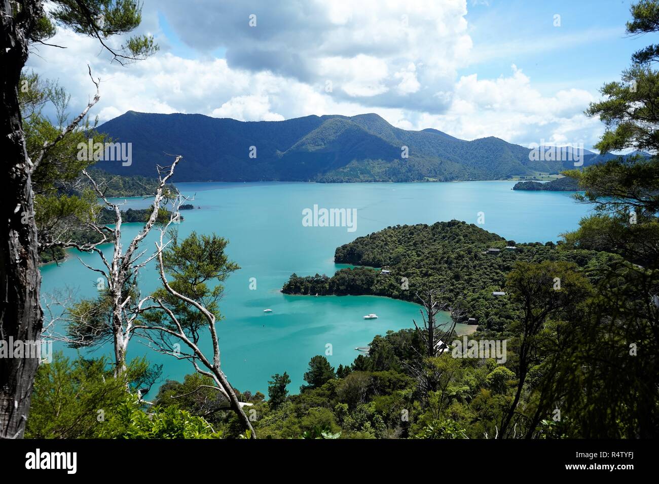 A view from above of the boats,  blue water and coves in the Marlborough Sound New Zealand South Island Stock Photo