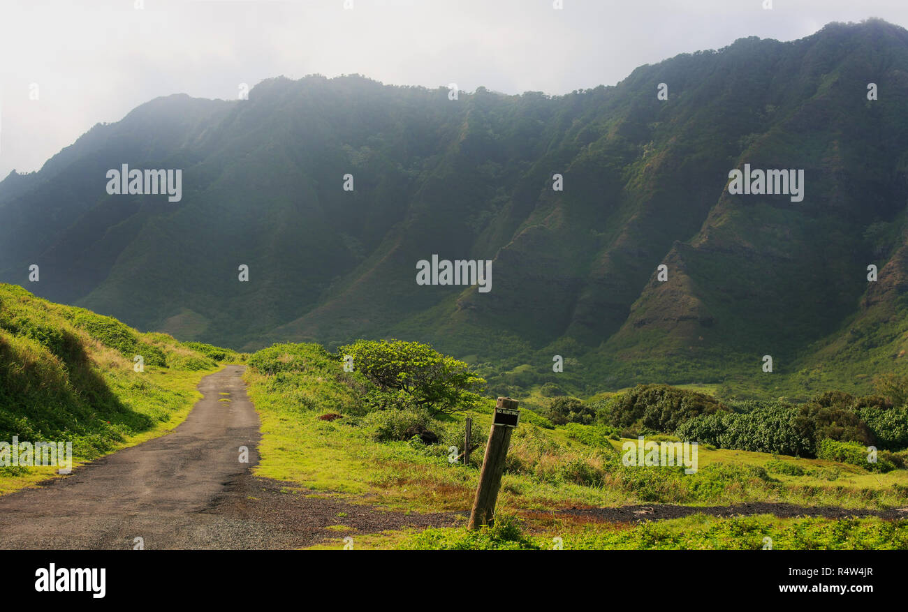 Narrow road leading into Kaaawa Valley in Koolau Mountain Range, Oahu, Hawaii Stock Photo