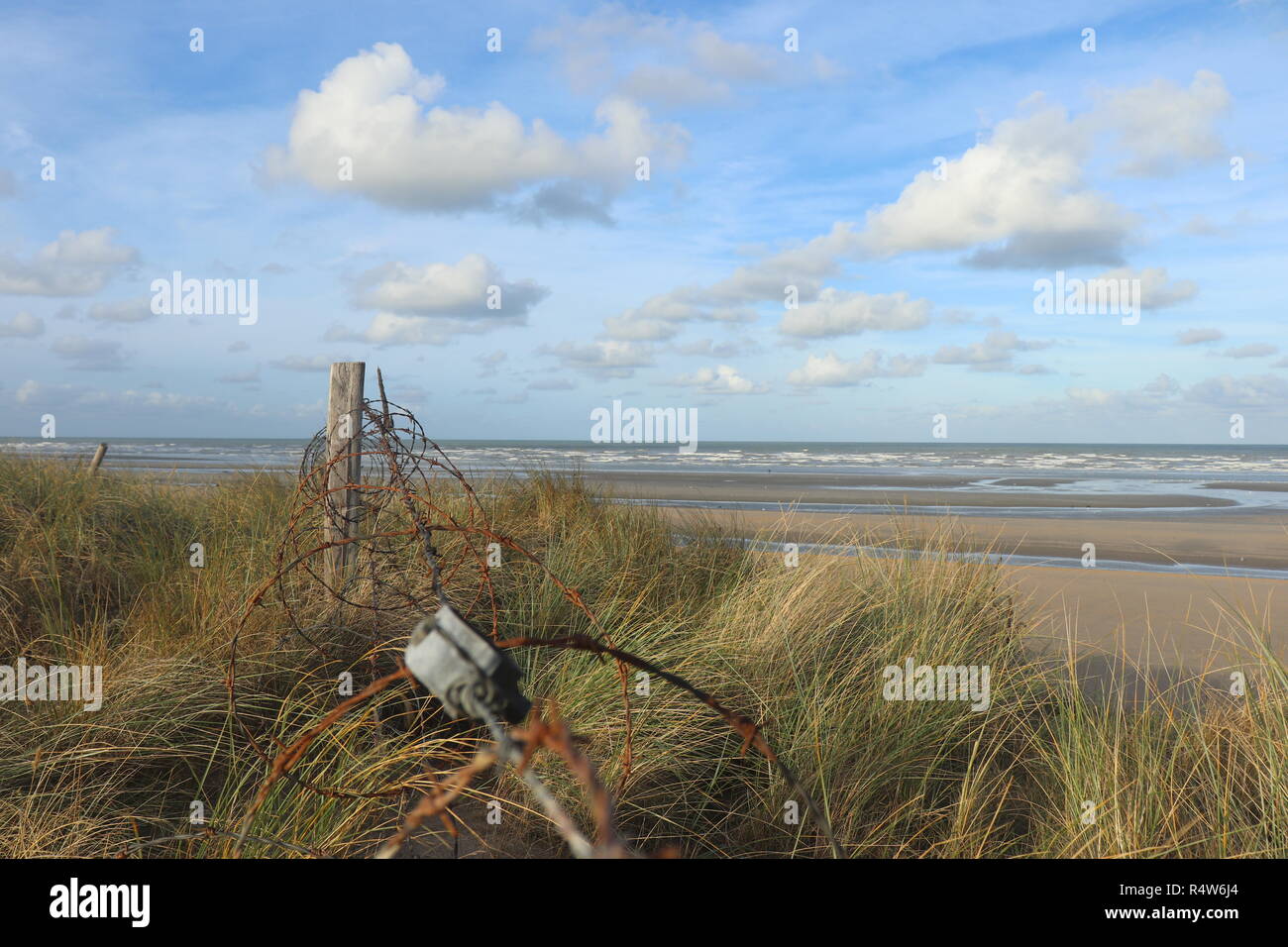 Barbed Wire Fence on Utah Beach in Normandy France Stock Photo Alamy