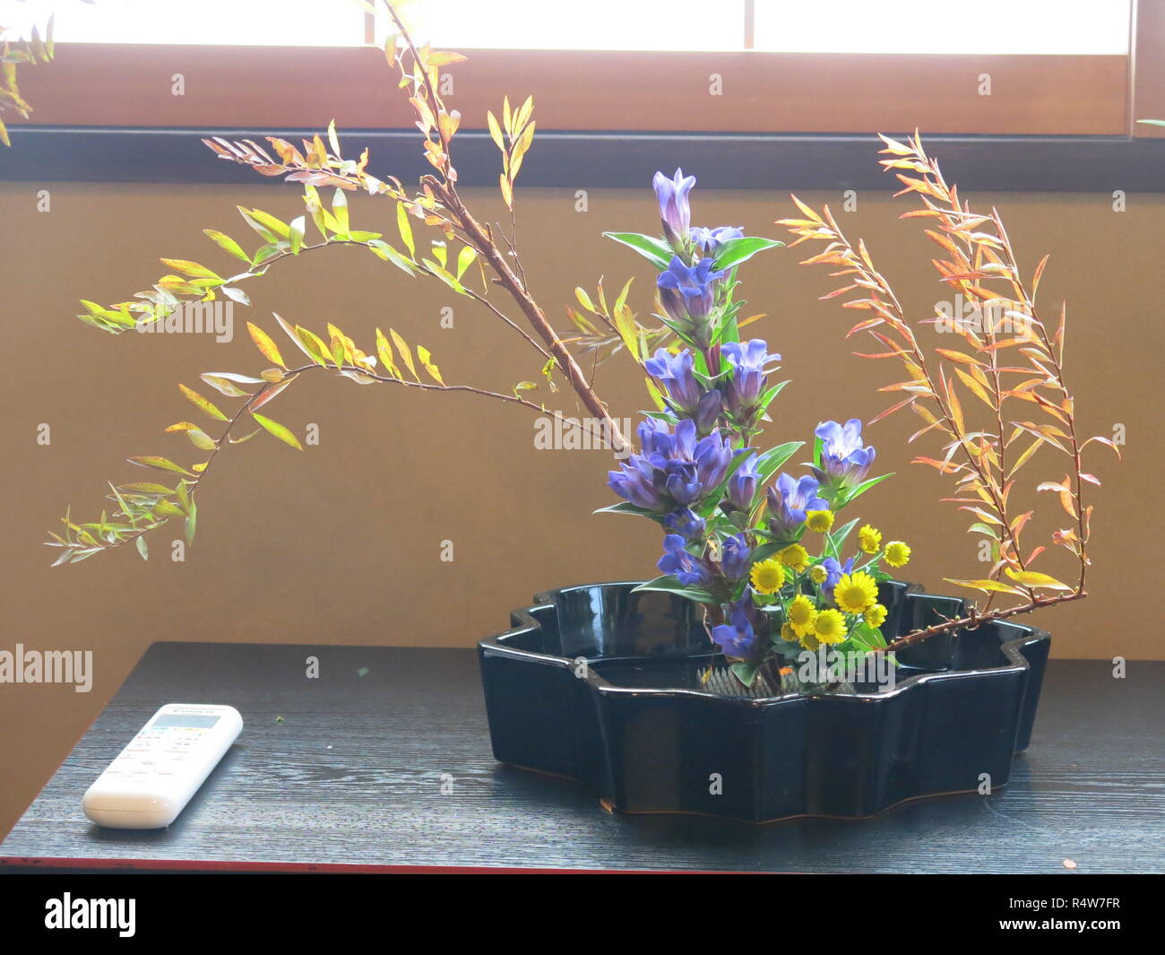 I had a personal hour's tuition in the Japanese art of Ikebana whilst