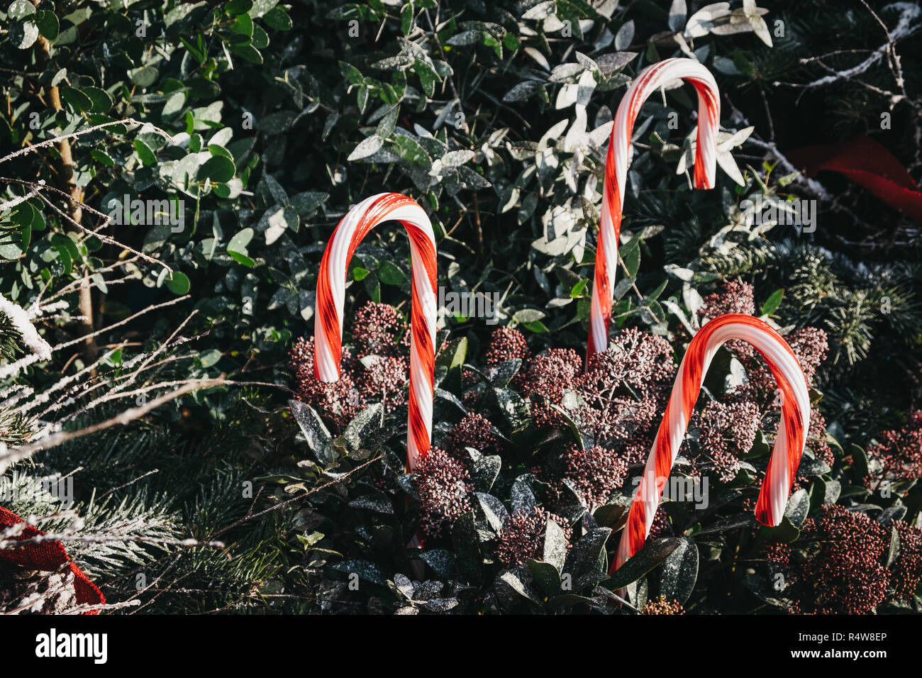 Close up of candy canes and Christmas decorations in Covent Garden Market, one of the most popular tourist sites in London, UK. Stock Photo